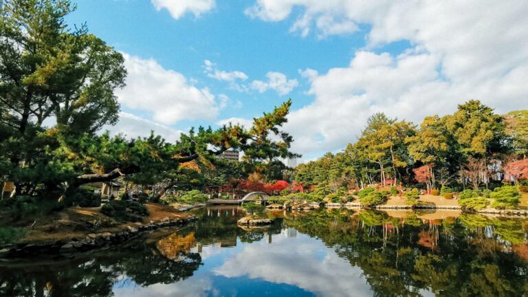 桜舞う栗林公園で盤上の華、和田邦坊ゲームが彩る春のボードゲーム祭 YouTube HUM | 桜舞う栗林公園で盤上の華、和田邦坊ゲームが彩る春のボードゲーム祭