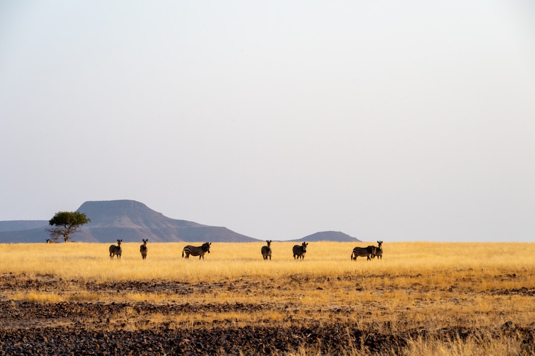 『紅の砂漠』500万本突破の快進撃！来週アプデで「難易度」と「バッグ」が劇的進化！