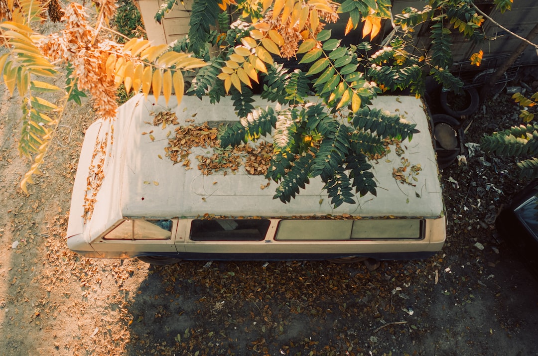 渋谷の日常を襲った悲劇：バス停に車突っ込む、運転手死亡。今、私たちが考えるべきこと
