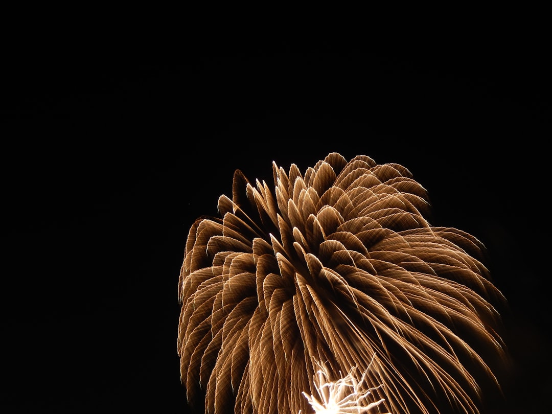 鎮魂と問いかけ：大分・陸自演習場砲弾破裂事故、3名死亡1名重傷の痛ましい現実