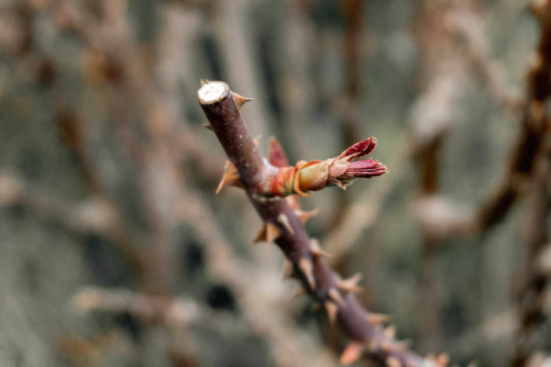 【緊急分析】米国経済がまさかの急加速！PMI上昇と22年ぶり価格高騰が示す日本の未来