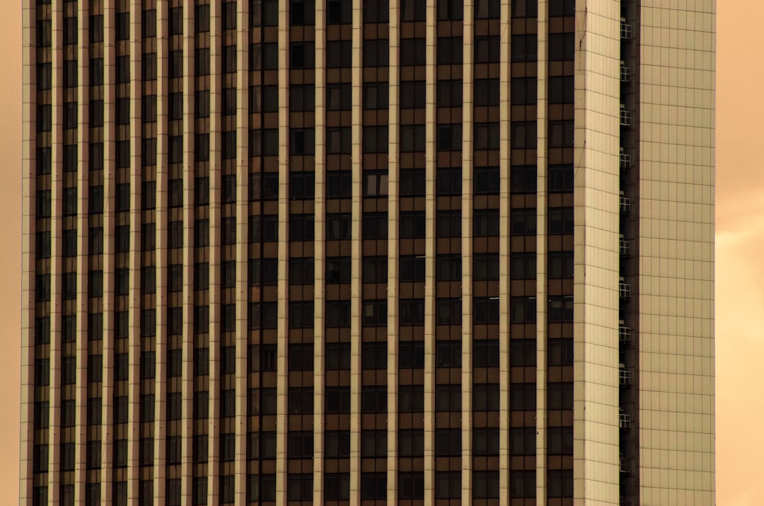 アニメと漫画の伝説に春の栄誉！ガンダム富野由悠季、天上の虹里中満智子が叙勲