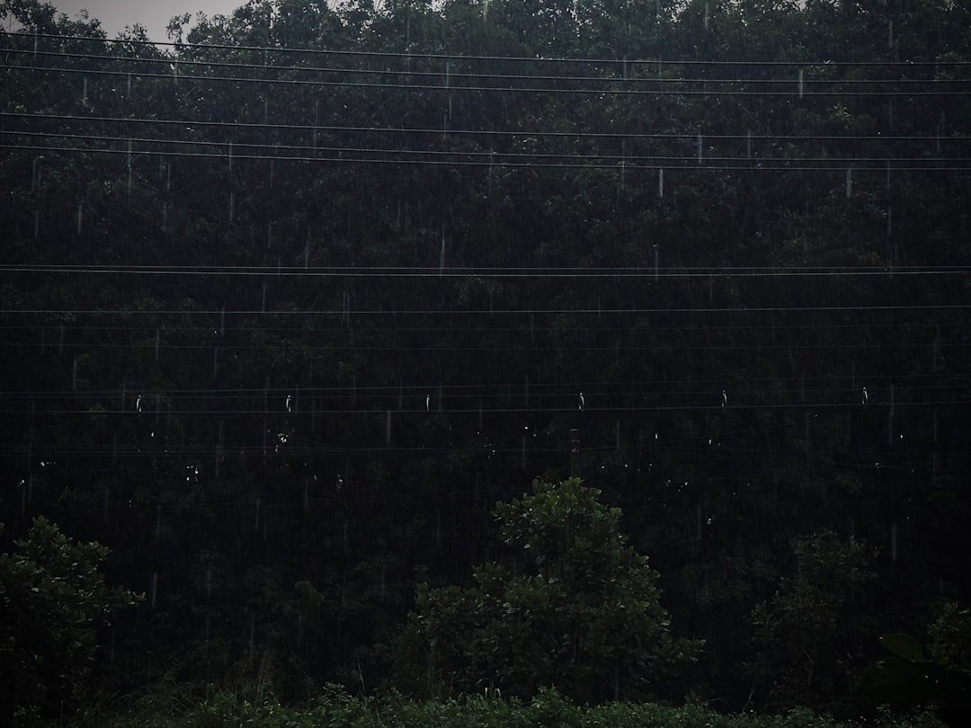 【緊急速報】今夜から明朝にかけて大雨厳重警戒！四国・近畿・東海で命を守る行動を