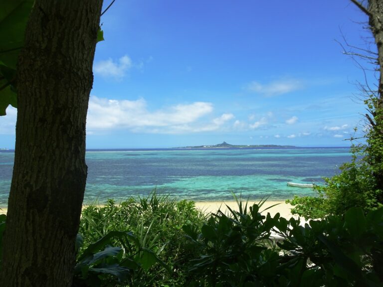 辺野古問題、高校の授業でどこまで踏み込むべき?文科相VS同志社国際高の論争を徹底解説! YouTube HUM | 辺野古問題、高校の授業でどこまで踏み込むべき?文科相VS同志社国際高の論争を徹底解説!