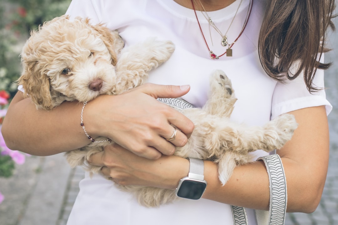 【堕天使Hum】 | Google Fitbit Airは新時代の健康トラッカーか?「着けっぱなし」が拓く健康管理の未来を徹底解説! Google Fitbit Airは新時代の健康トラッカーか?「着けっぱなし」が拓く健康管理の未来を徹底解説!