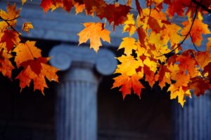 常識を覆す！金が永遠に輝く本当の理由とは？米大学が発表した衝撃の新説に迫る