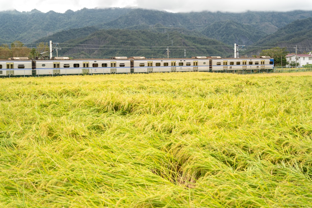 【堕天使Hum】 | 命を守る!台風7号、25日~26日沖縄最接近!関東への影響と今すぐできる対策【気象予報士が緊急警告】 命を守る!台風7号、25日~26日沖縄最接近!関東への影響と今すぐできる対策【気象予報士が緊急警告】