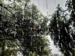 【緊急速報】九州5県、線状降水帯による大雨に厳重警戒！命を守るための最終チェックリスト