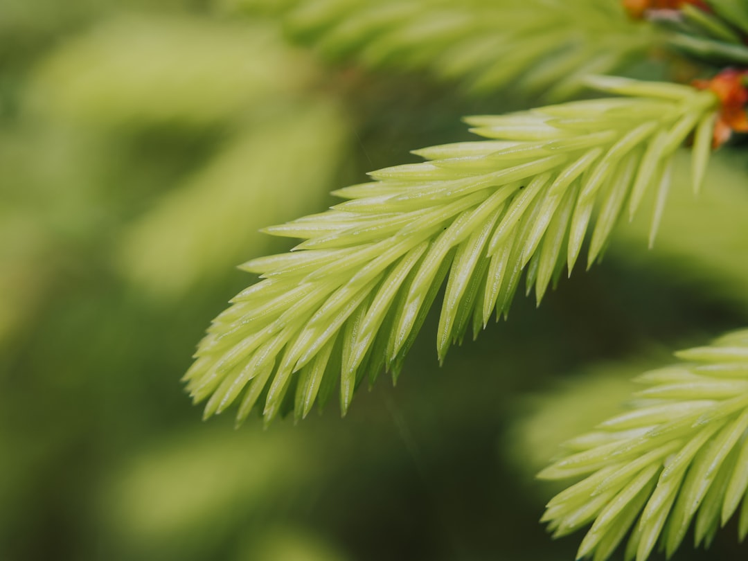 【堕天使Hum】 | 【朗報】Claude Fable 5、まさかの無料プレイ期間延長!7月13日まで追加料金なしで冒険し尽くせ! 【朗報】Claude Fable 5、まさかの無料プレイ期間延長!7月13日まで追加料金なしで冒険し尽くせ!