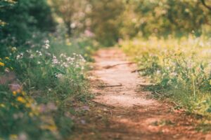 未来を掴むチャンス！大学生が「税理士」という【究極の安定キャリア】を知るべき理由！8/18(火)オンラインセミナー開催！