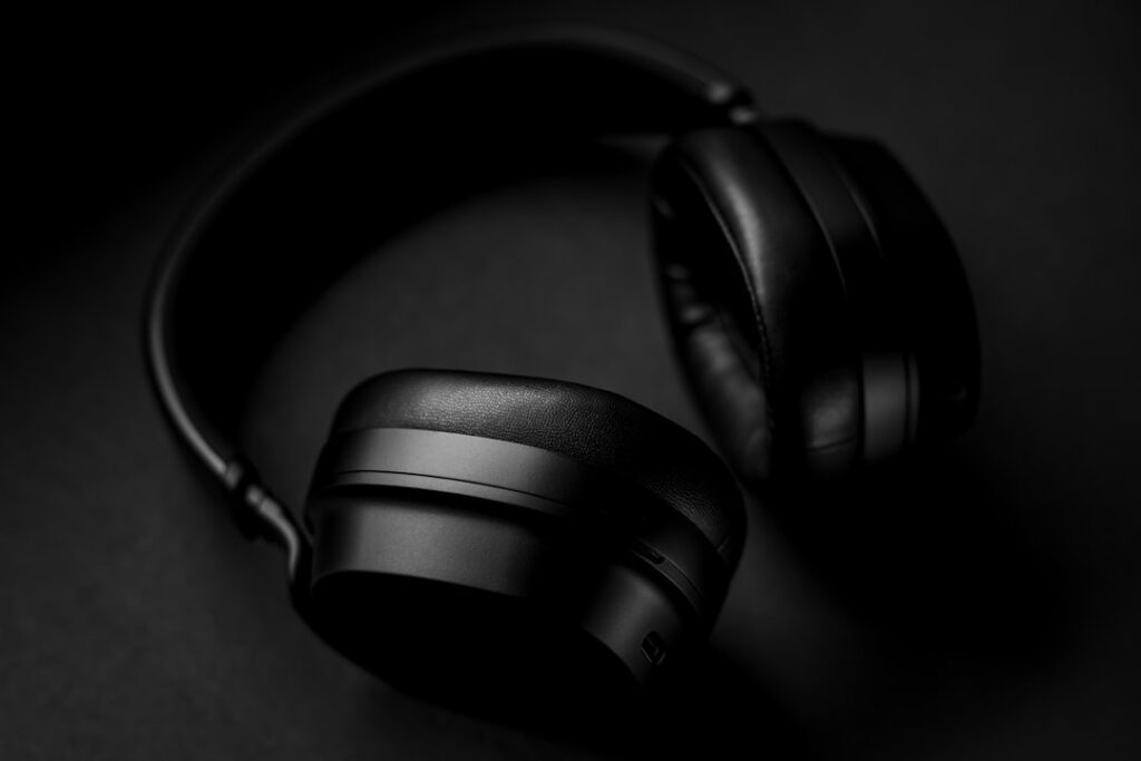 【堕天使Hum】 | プロが惚れる秘密はここ！ソニーIER-M500「遮音・装着性」開発ストーリー