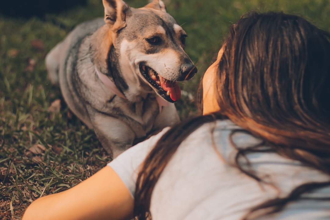 【堕天使Hum】 | 【衝撃調査】珍しい動物は少数派?「話したい相手」8割超が選んだのは、あなたの隣のあのコだった! 【衝撃調査】珍しい動物は少数派?「話したい相手」8割超が選んだのは、あなたの隣のあのコだった!