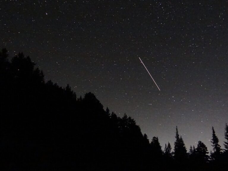 【8月限定】都会では見られない絶景!THE FARMでペルセウス座流星群を独り占めする夜 YouTube HUM | 【8月限定】都会では見られない絶景!THE FARMでペルセウス座流星群を独り占めする夜