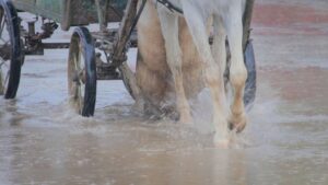 【緊急速報】千葉県、線状降水帯の脅威！命を守る「今すぐやるべき」大雨対策ガイド