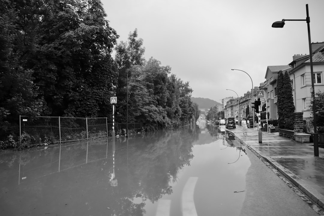 【堕天使Hum】 | 【速報】千葉市・八千代市、大雨警報「新基準」で何が変わる?あなたの街の防災対策を徹底解説! 【速報】千葉市・八千代市、大雨警報「新基準」で何が変わる?あなたの街の防災対策を徹底解説!